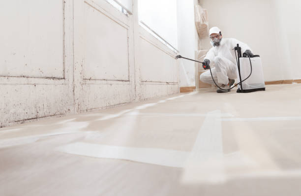 24/7 Emergency Attic Mold Removal experts in Moyock, NC